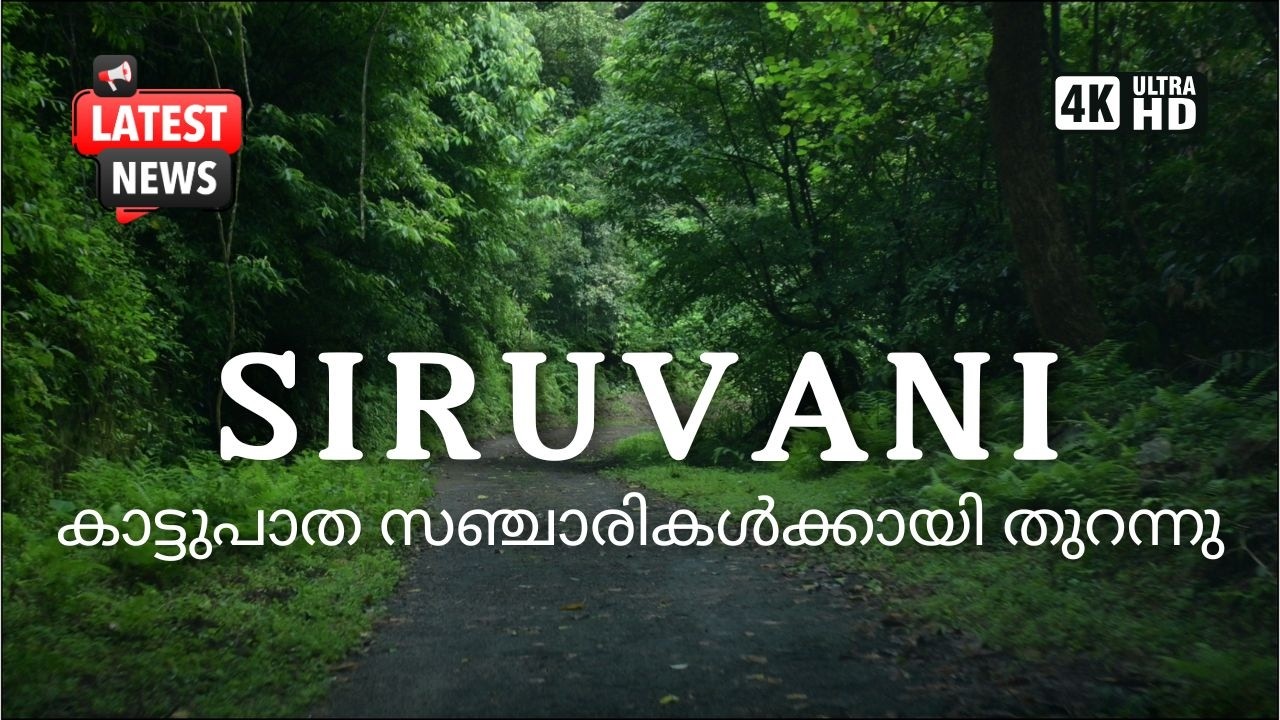 6 വര്ഷങ്ങള്ക്കുശേഷം കാട്ടുപാത സഞ്ചാരികൾക്കായി തുറന്നു / 4K UHD @trippingvibes