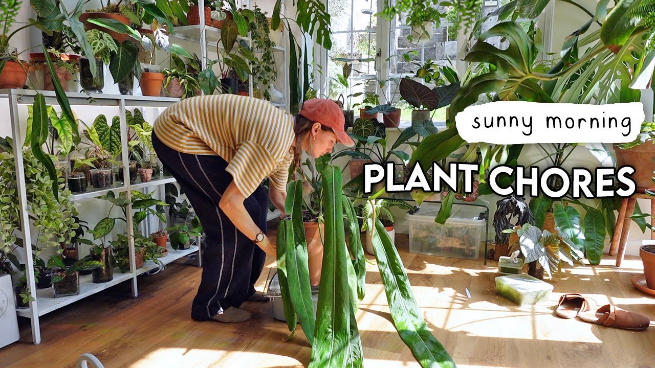 Delving Into Prop Boxes, Pollination + Plant Rehabbing 🌿