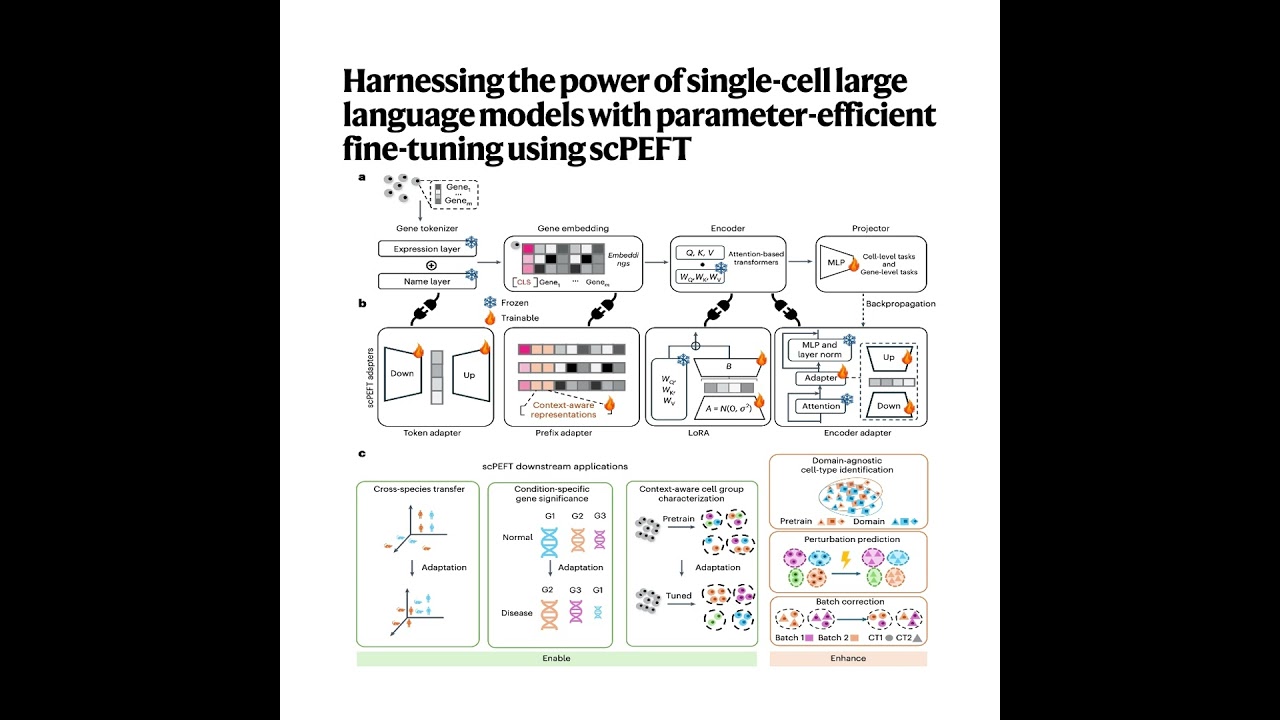 396-scPEFT: Fine-Tuning for Single-Cell Foundation Models