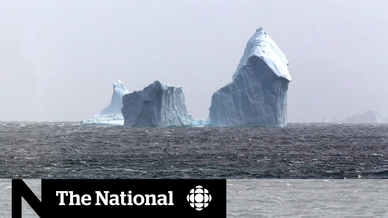 Climate change leads to fewer iceberg sightings near Newfoundland and Labrador