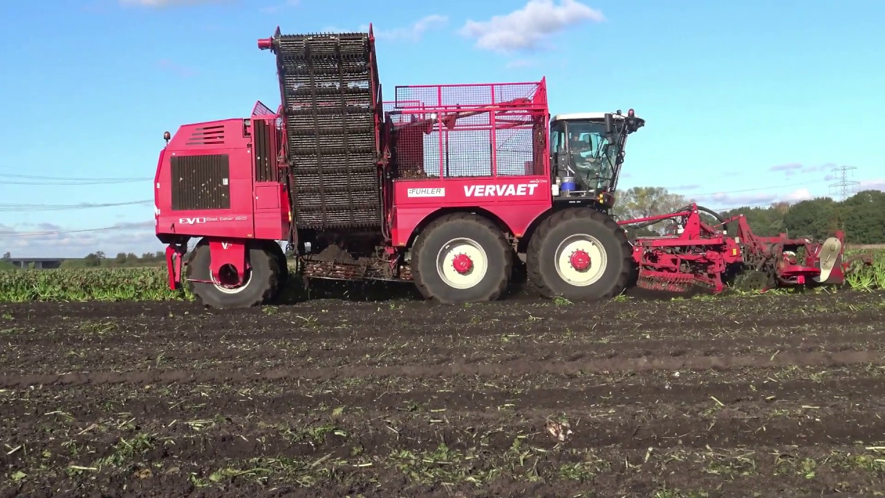 BIETEN ROOIEN MET EEN VERVAT EVO BEET EATER 925 NEW HOLLAND T 7.185 / 7 .230