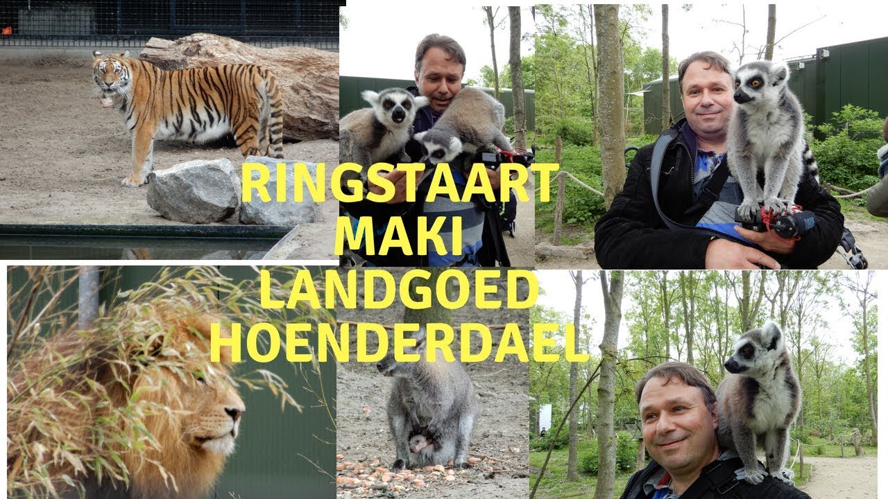 Review Dierentuin Landgoed Hoenderdaell 2018
