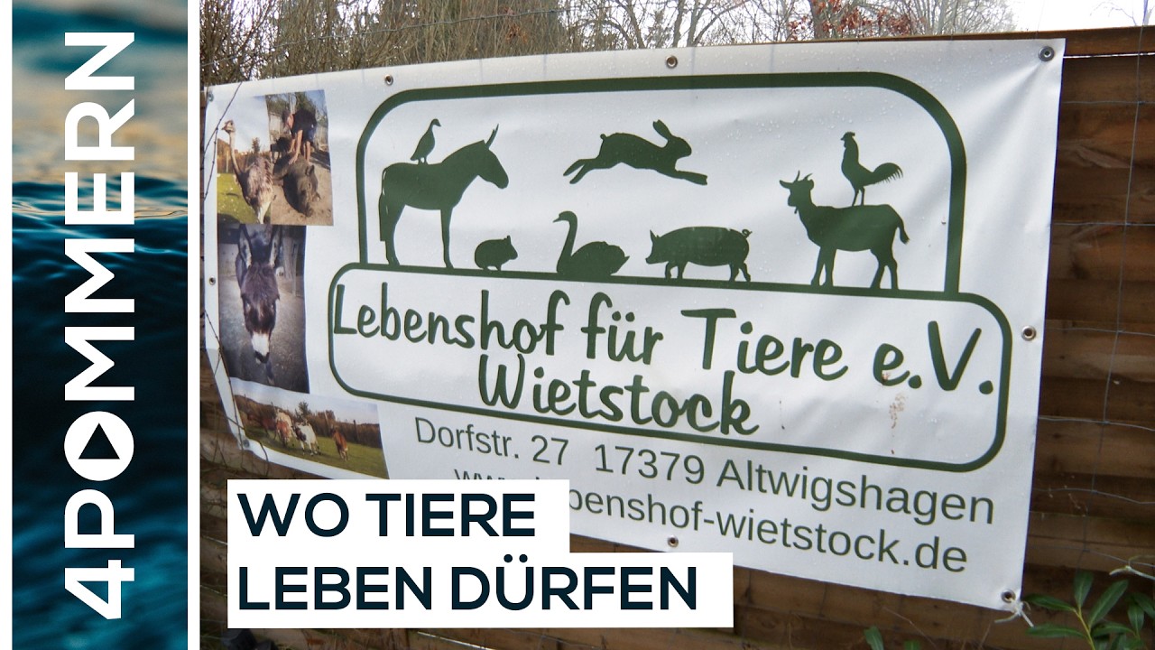 Wo jedes Leben zählt - Der Lebenshof in Wietstock | Usedom TV