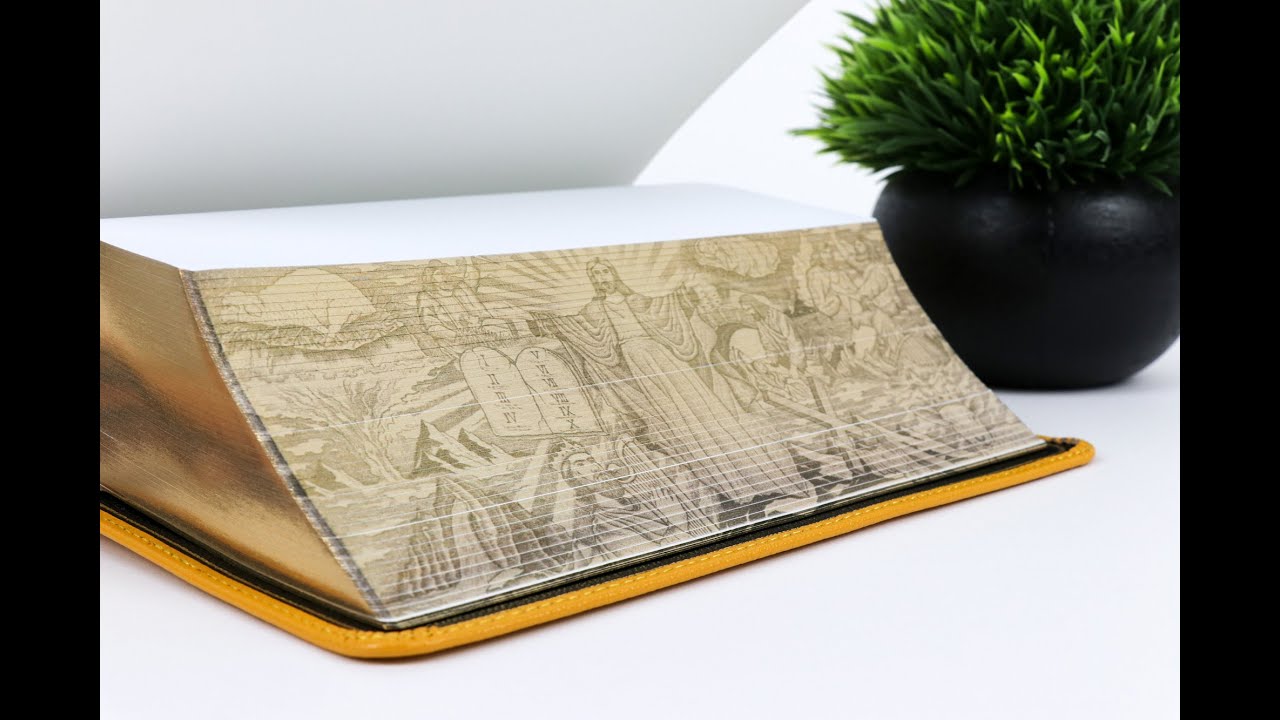Introducing the NASB HIStory Edition