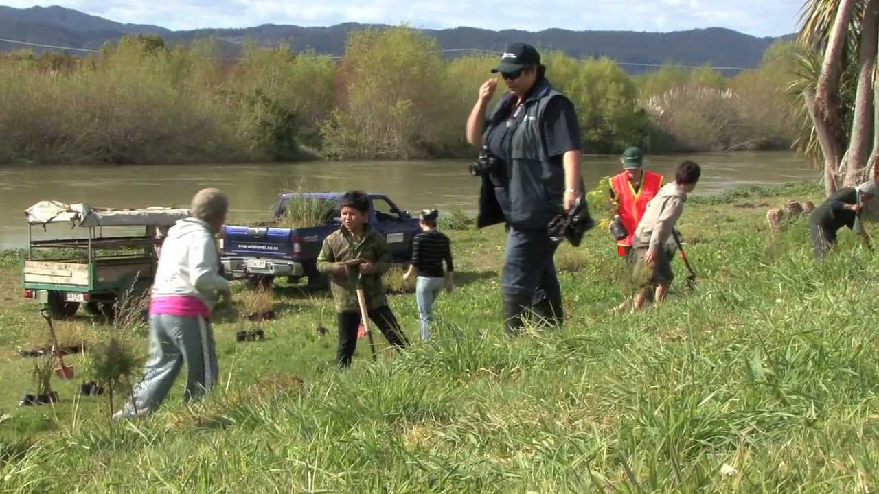 Te Teko Tree Planting by the Rangitaiki River in New Zealand