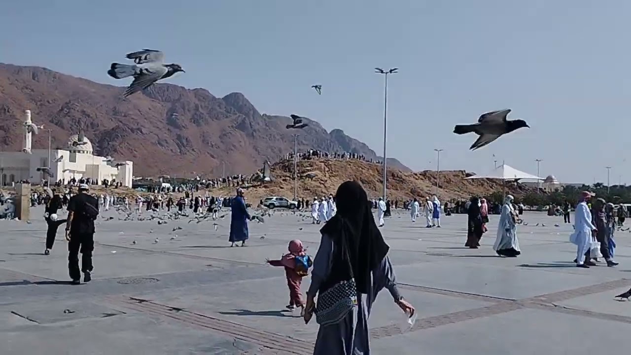 CITY TOUR JABAL UHUD ; Jamaah umrah Al kautsar boyolali