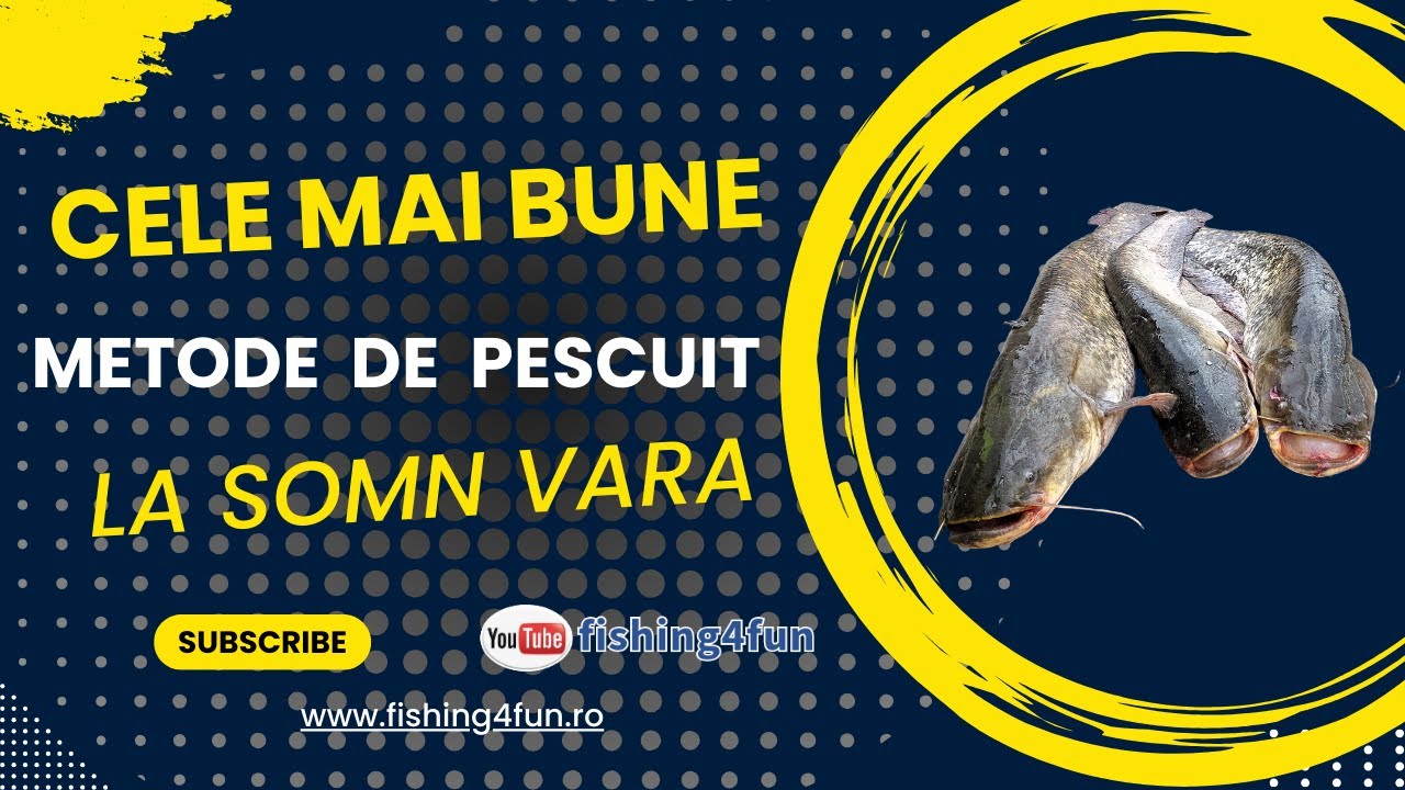 Cele mai bune metode de pescuit la somn vara #pescuit #fishing #catfish