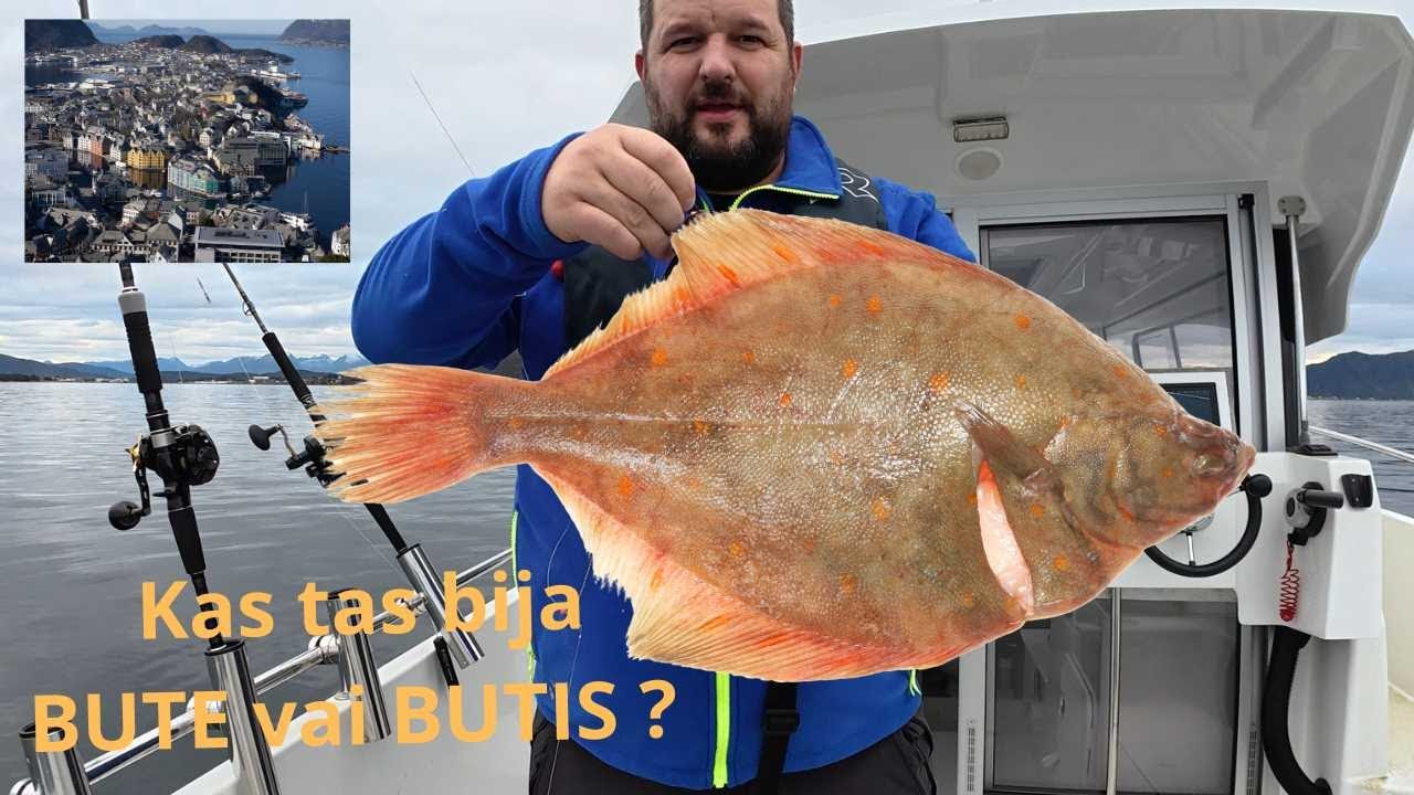 Iepazīšanas video ar nelielu ieskatu cope.