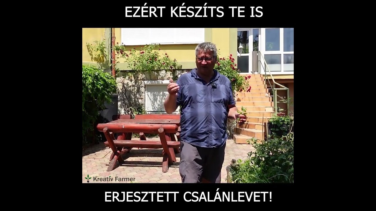 Csal&aacute;nl&eacute; k&eacute;sz&iacute;t&eacute;se: Mi&eacute;rt k&eacute;sz&iacute;ts erjesztett csall&aacute;nlevet