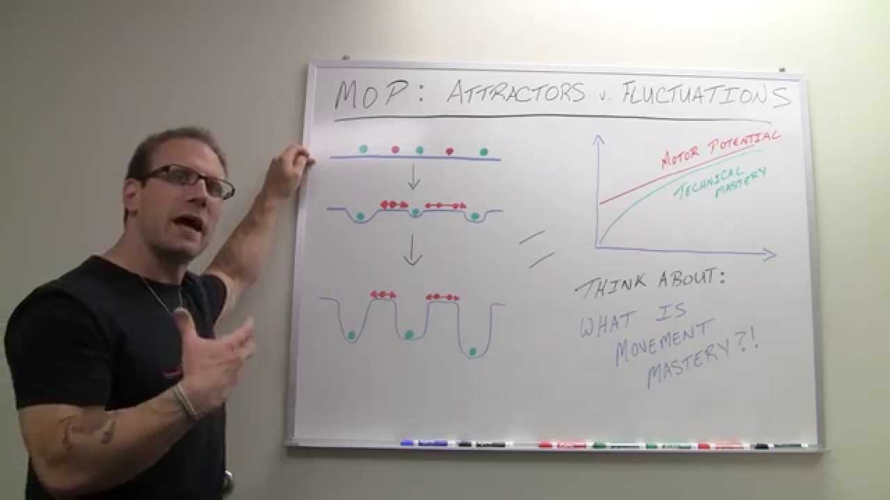Movement Optimization: Attractors & Fluctuations