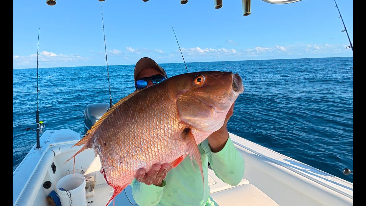 Florida Keys Fishing Big Mutton Snapper, Baby Shark