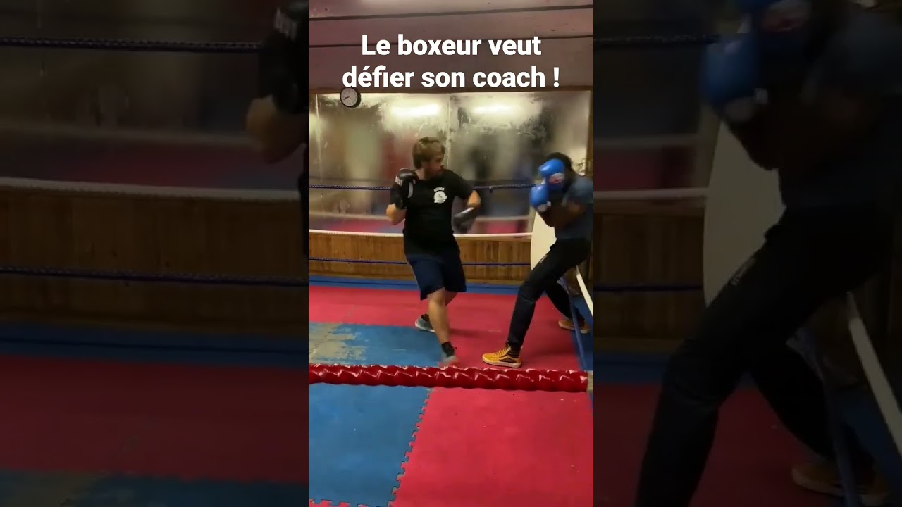 quand un boxeur veut d&eacute;fier son coach !!! #coach #boxing #boxe #sparring #fight #ko #coachvsboxeur