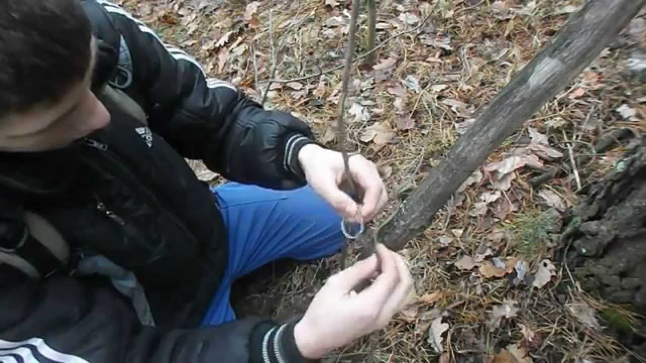 Ловушка на белку!