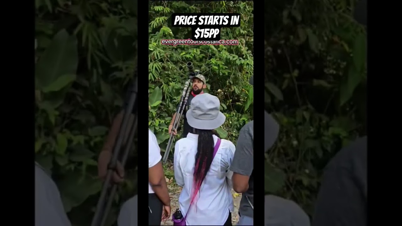 lets do a Free tour#costarica #freetour #freetours #walkingtours #walkingtours