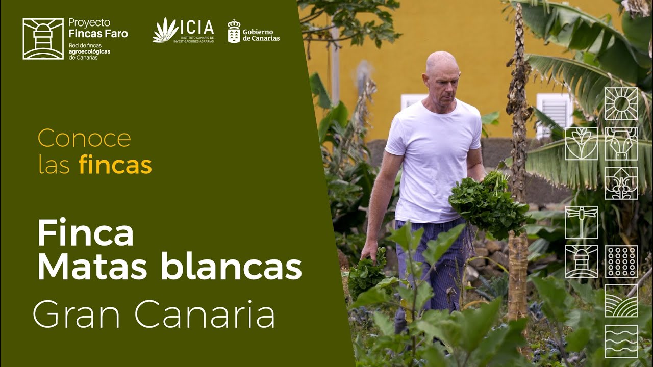 Finca Matas Blancas, GC. Proyecto Fincas FARO  Red de fincas agroecológicas de Canarias ICIA