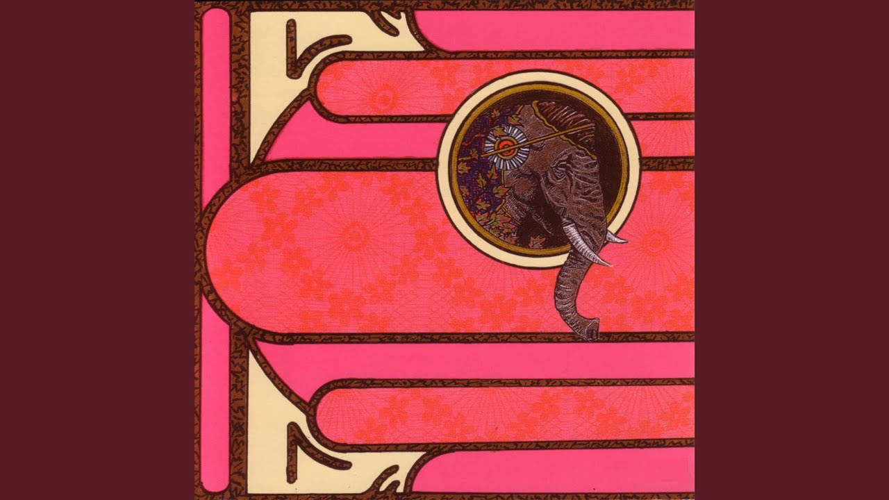 I Thought This Was a Punk Show