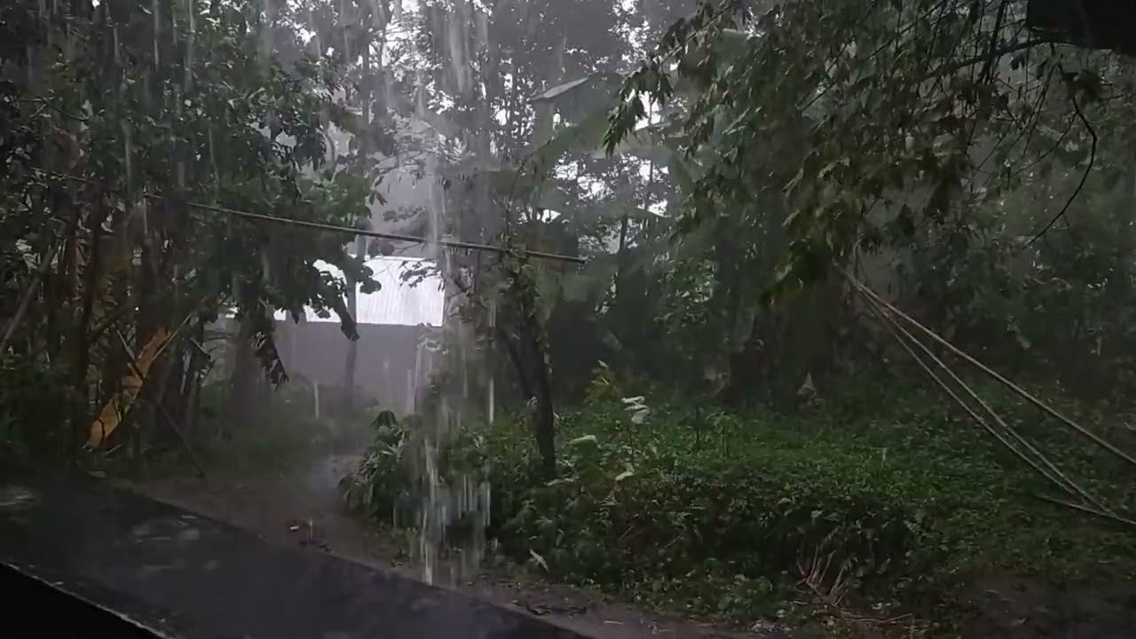 Heavy Rain & Strong Wind Sounds  ASMR for Deep Relaxation