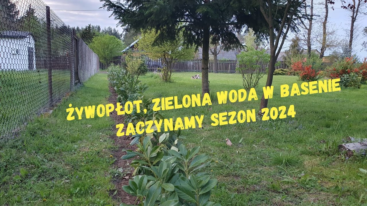Żywopłot,basen z zieloną wodą oraz nowa twarz na kanale.Zapraszamy na wspólne chwile na naszwj Wsi.