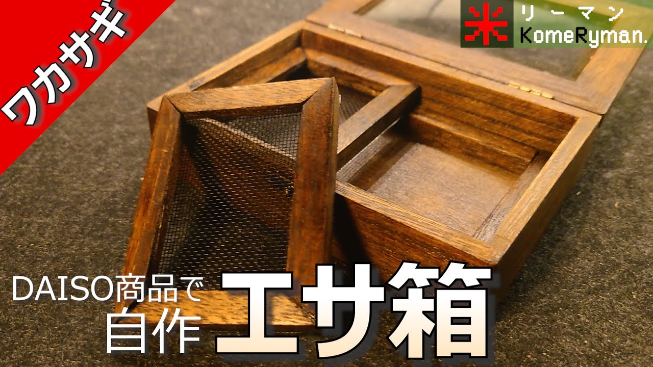 【材料費約500円】DAISO商品だけで作る、エサ箱
