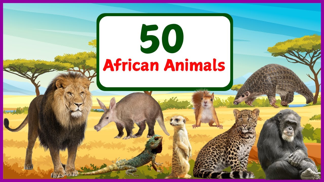 50 African Animals For Kids | Learning African Animal Names For children | Wild Animal Names