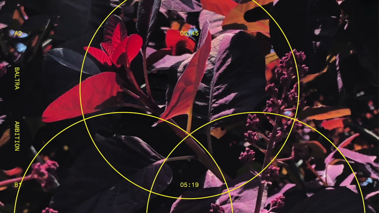 Baltra - Make It B.I.G.