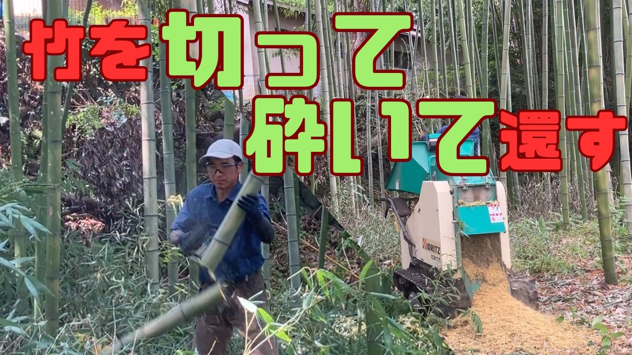 【竹林整備】プロが1日半で竹林を綺麗にする【単独作業】