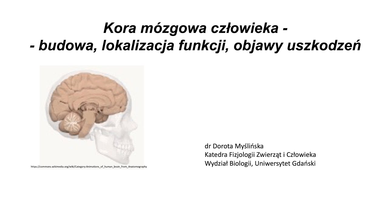 Lekcje UG - 