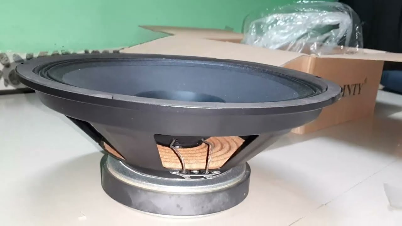 அனல் பறக்கும் 🔥 DAINTY 12 INCH FULL RANGE SPEAKER SOUND TEST IN TAMIL (VELS AUDIOS)
