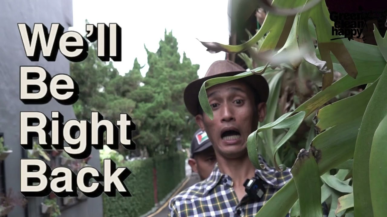 PELANGI DI SEKOLAH BIAS