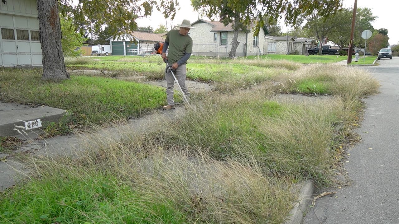 This yard went from FREE TRANSFORMATION to a FREE LEAF CLEAN UP, but I did both for FREE