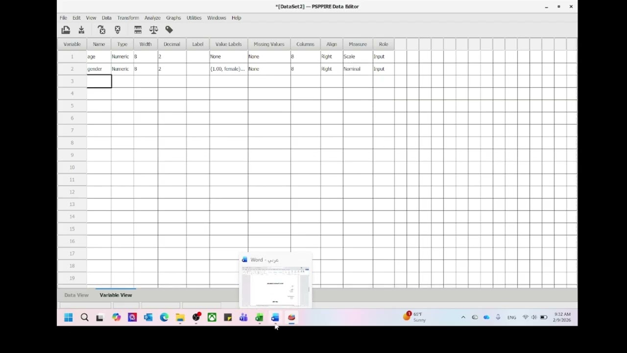 PSPP data entry and cleaning of errors ادخال البيانات و تنظيف الاخطاء قبل التحليل الاحصائي