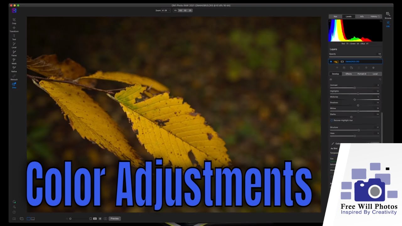Making Color Adjustments in ON1 Photo Raw Quick And Easy