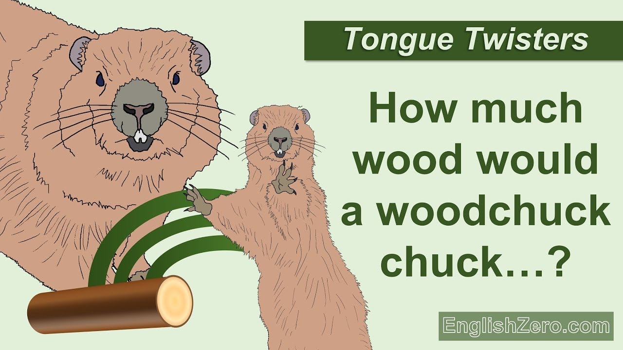 Tongue Twister 6- How Much Wood Would a Woodchuck Chuck if a Woodchuck Could Chuck Wood?