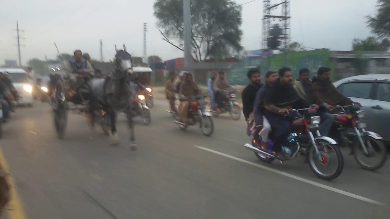 Lalamusa horse race