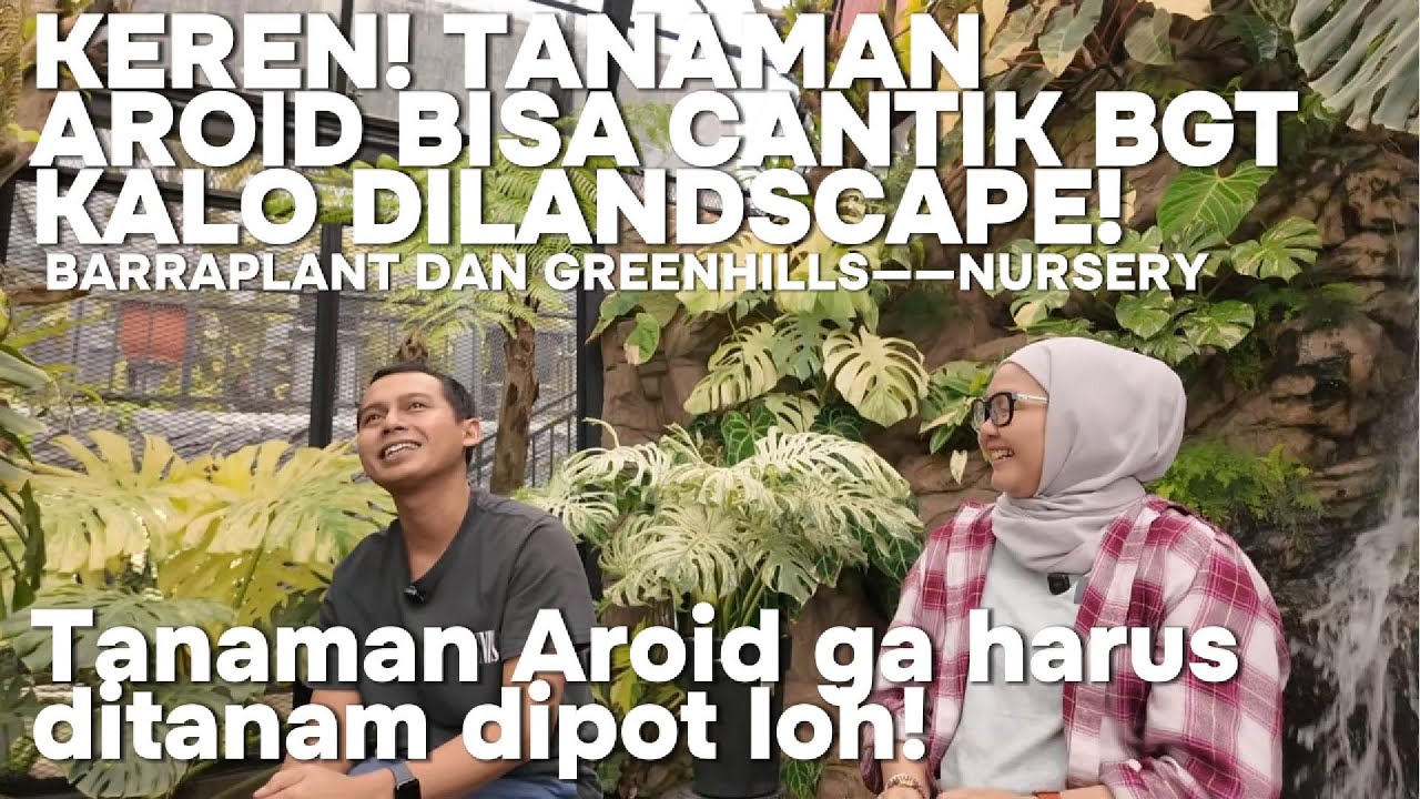 KEREEEEEEEEEEEN! ! TANAMAN AROID GA HARUS DITANAM DI POT AJA..BISA DIBUAT LANSCAPE SAMA BARRAPLANT!