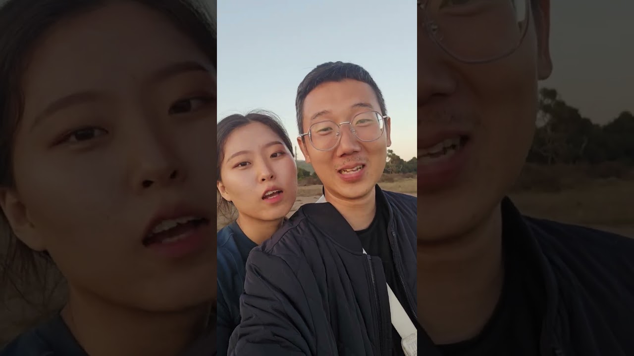 EXPLORING SANTA BARBARA WITH BAILY AND DOONGIE THE DOG