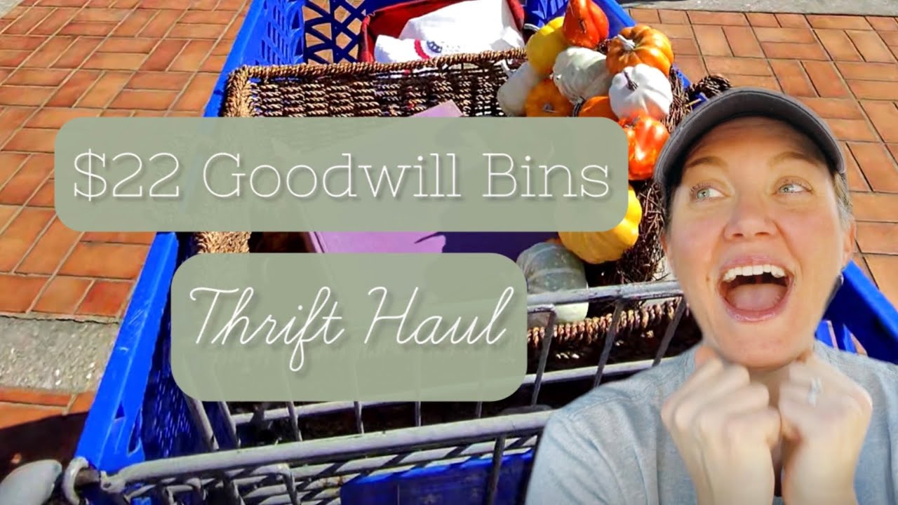 Thrift with Me! 🛒 EVERYTHING I Found at the Goodwill Bins for Only $22! 😱 