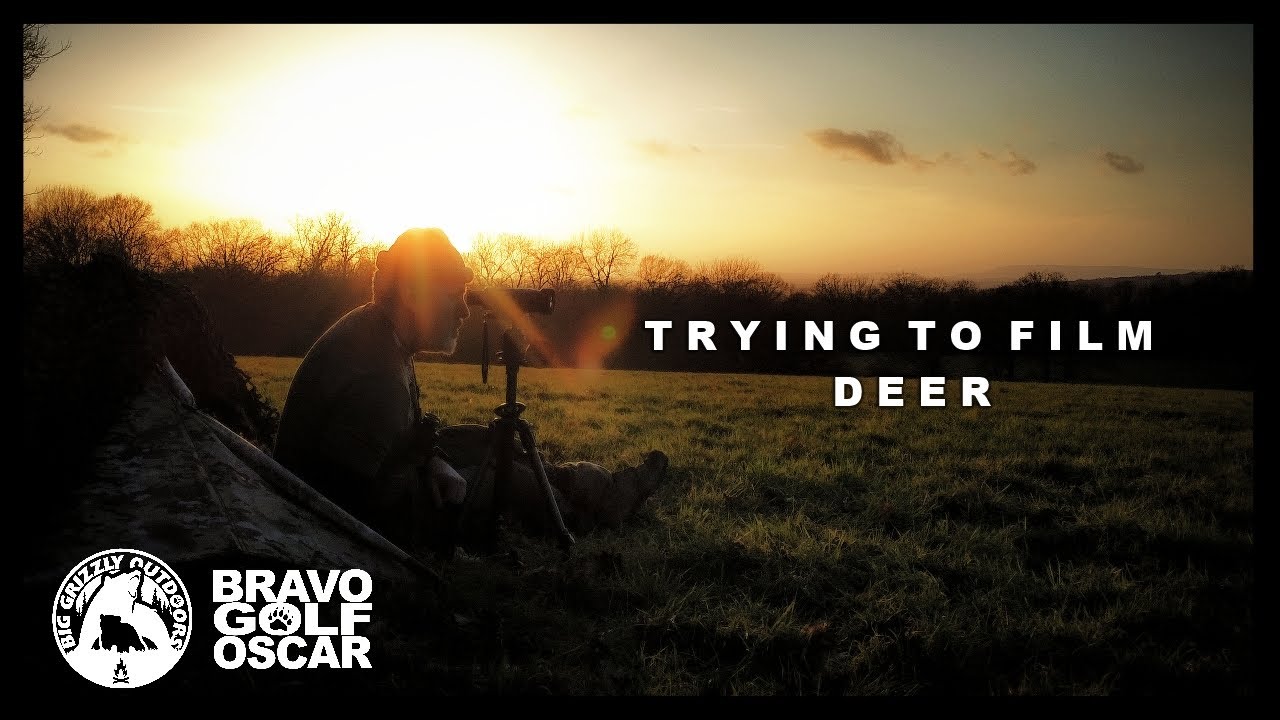 A Night  of Trying to Film Deer