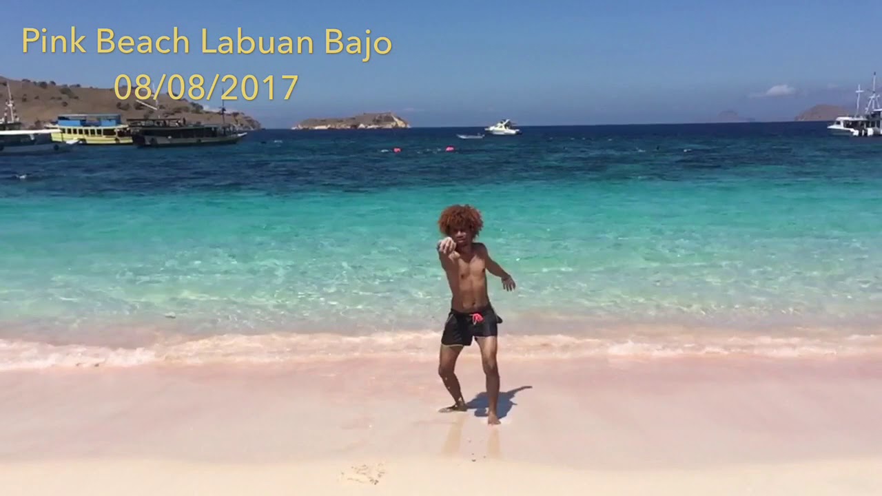 Indonesia Bagus Pink Beach Labuan BAJO east Nusa Tenggara