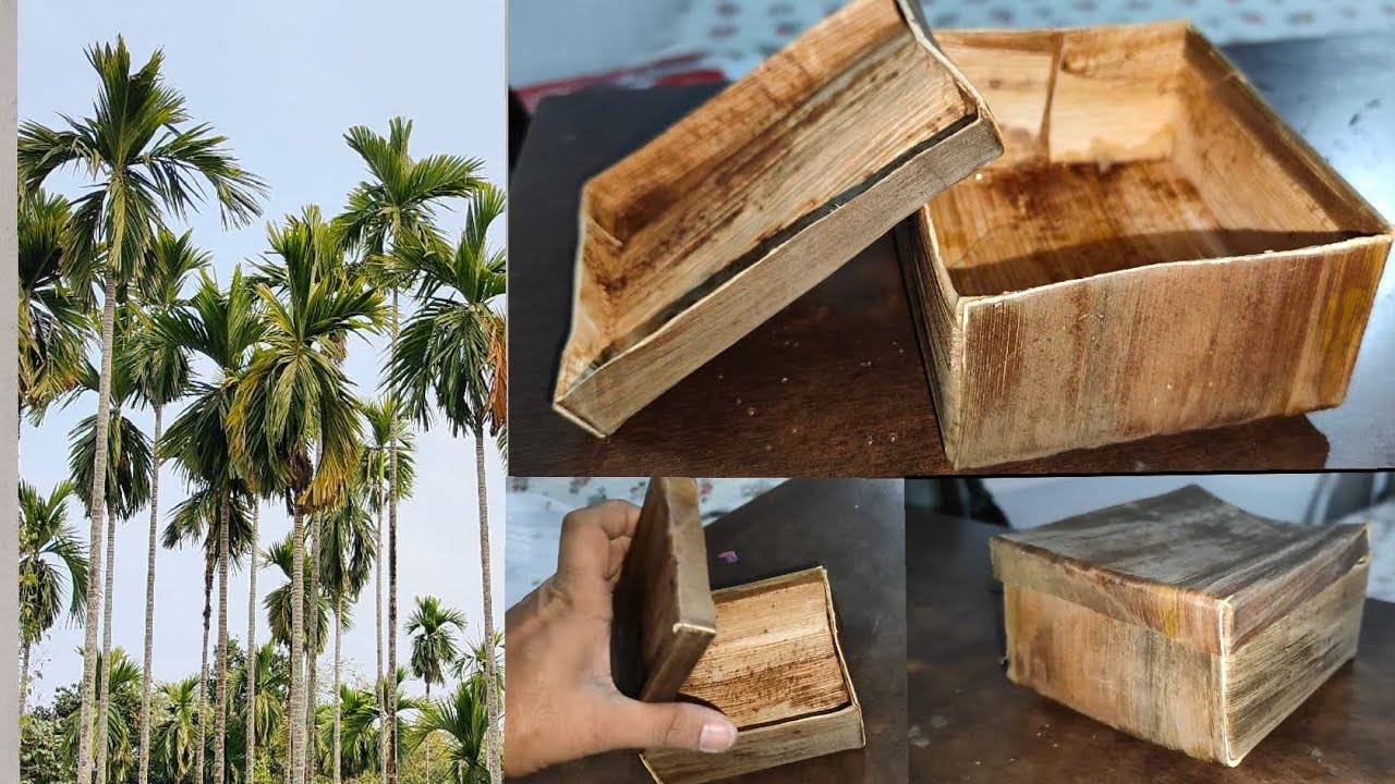 Plastic free packets using arecanut leaf sheath