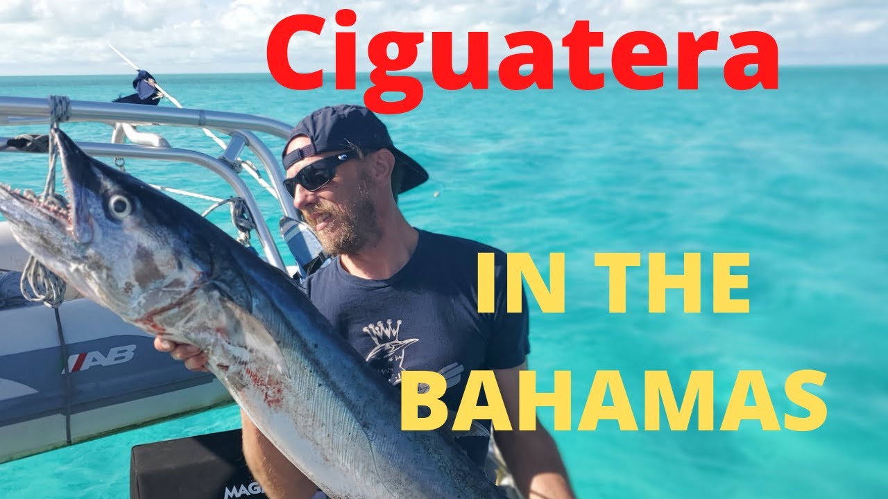 Ciguatera Poison In The Bahamas. A WARNING!