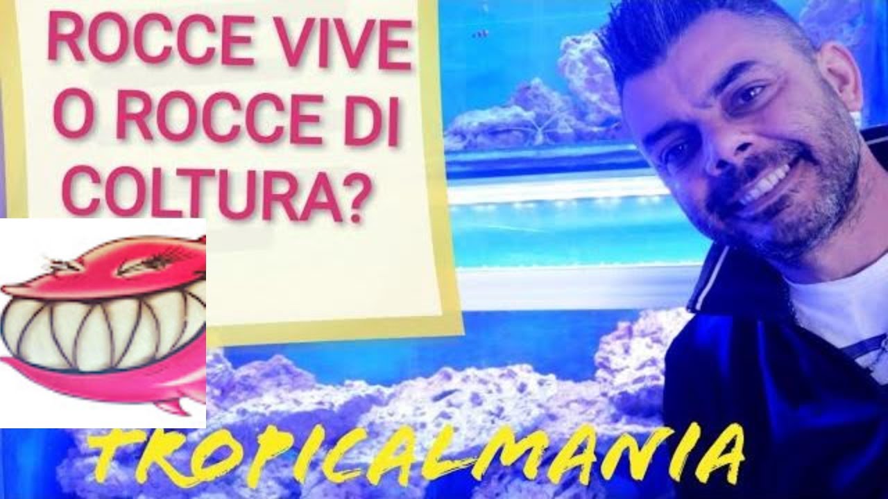 Rocce vive o rocce di coltura? Acquario Marino. Vediamolo insieme e vi spiego il mio parere 😀😀