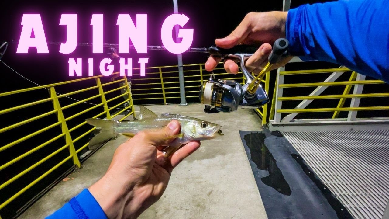 🌙NIGHT AJING! 🐟Pescaria noturna de robalos com Ajing