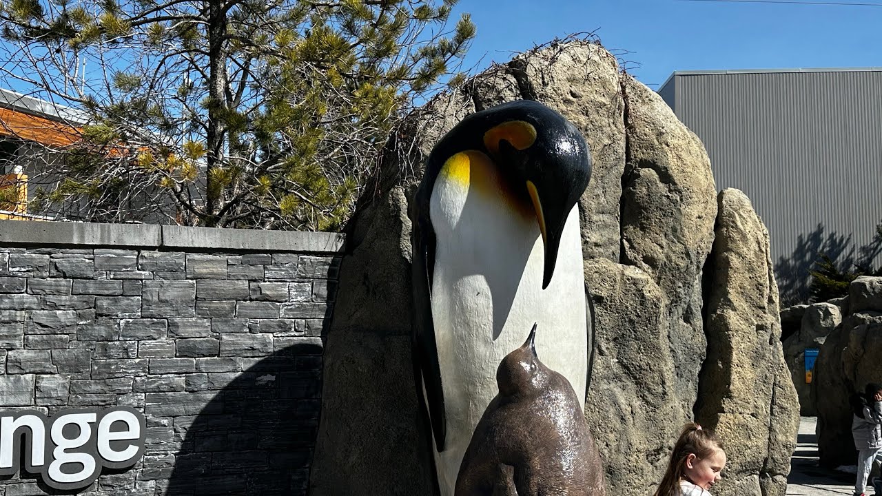 Calgary Zoo  Adventure Tour (2025).