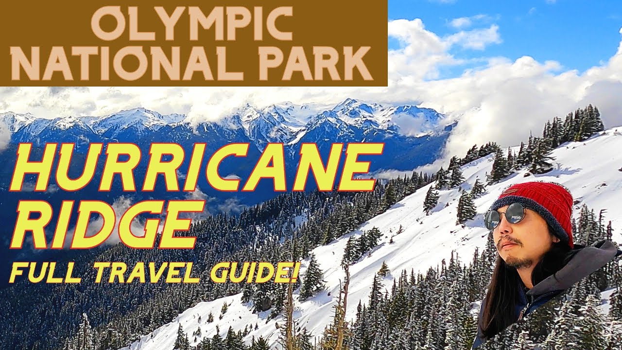 HURRICANE RIDGE in WINTER! Olympic National Park | Snow Tips, Trails, and Thrilling Views [2024]