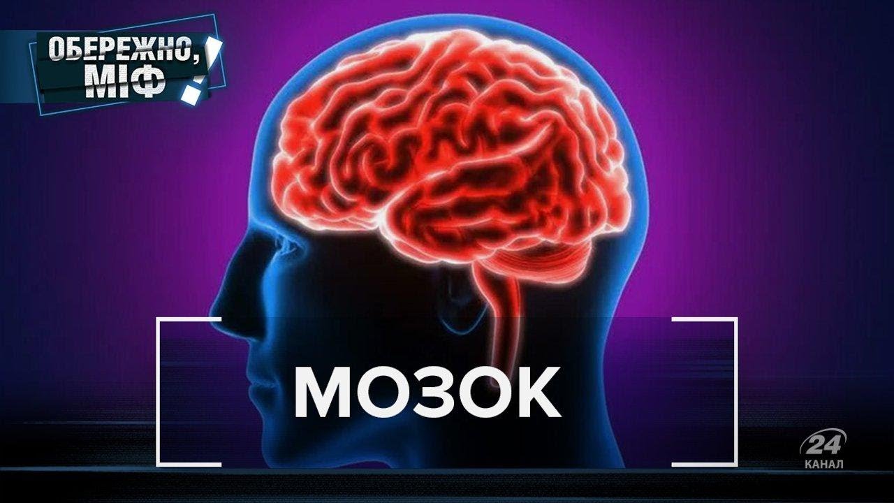 Мозок, Обережно, міф
