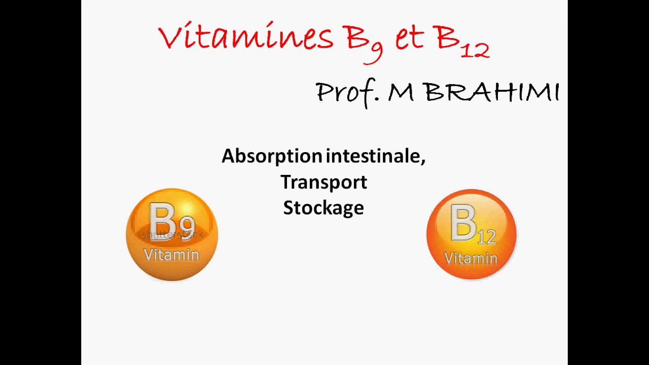 FOLATES ET VITAMINE B12 [PARTIE-2]