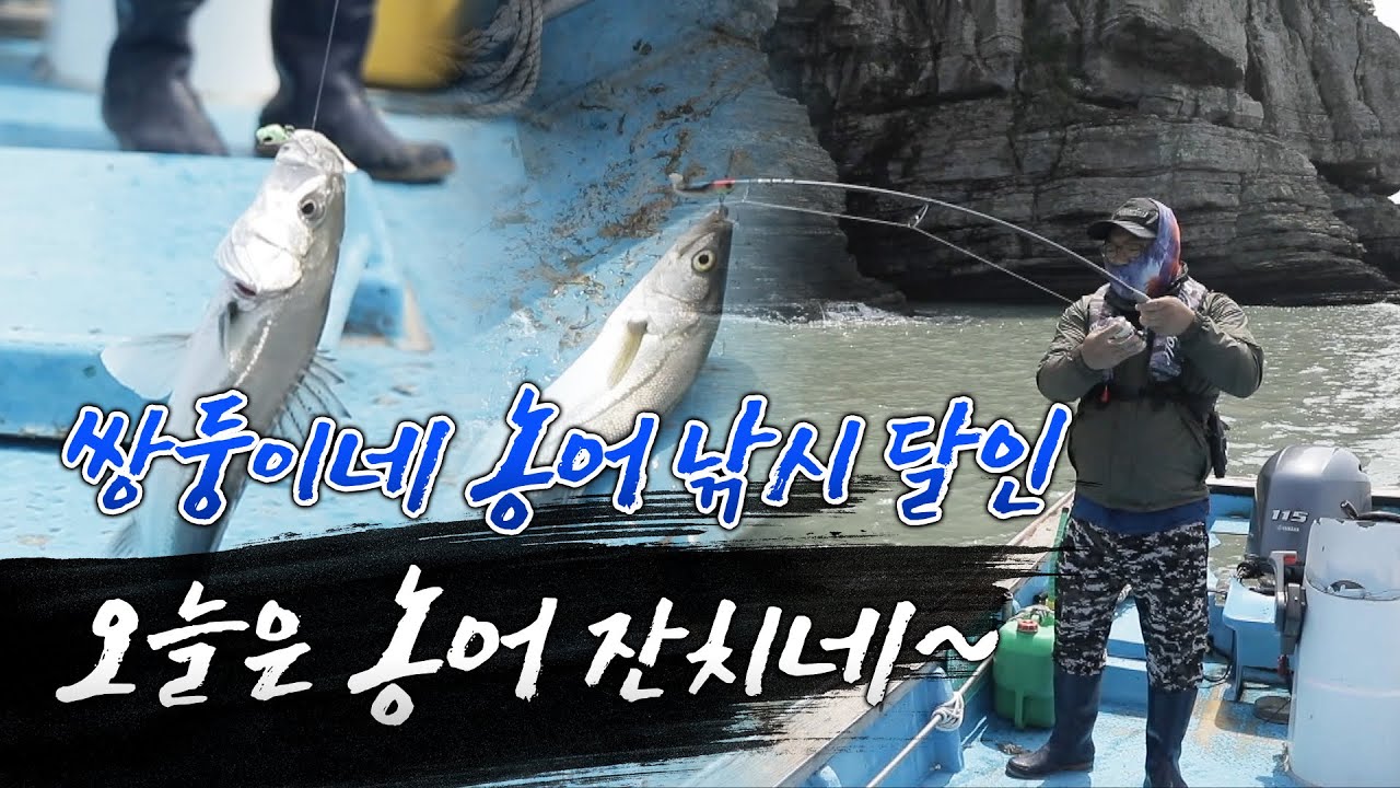 농어 낚시 달인!!  낚시대 넣자 마자 농어가 수드륵~ 오늘은 농어 잔치네~ 아버지는 경운기 집배원!!