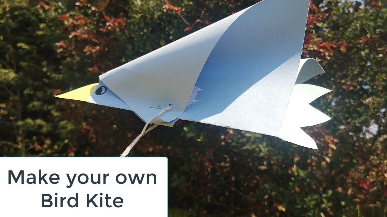 Easy Crafts: Make Your Very Own Bird Kite with this 5-minute craft!