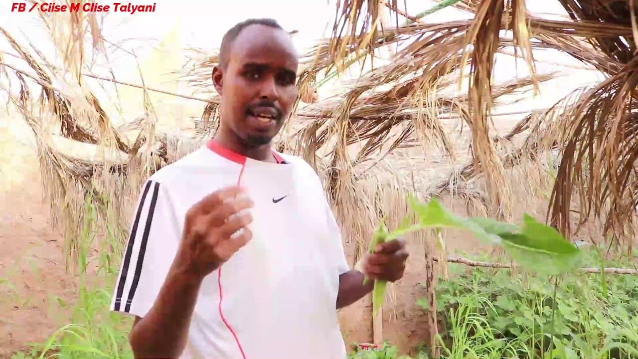 Wiil Dhalinyaro Ah oo Dhahar ka hirgeliyey Meel digaaga lagu xanaaneeyo iyo Beer